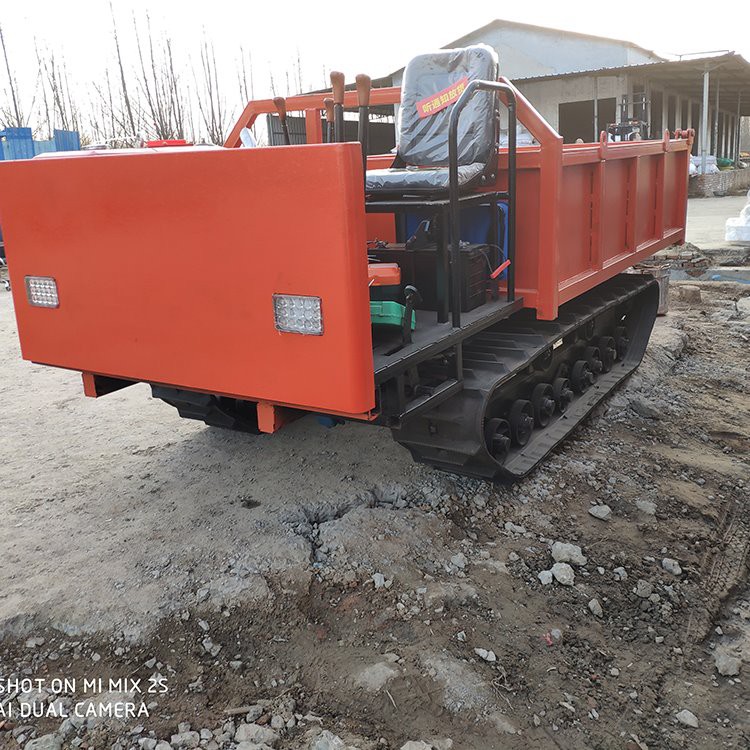 Mini Hydraulic Tracked Dumper