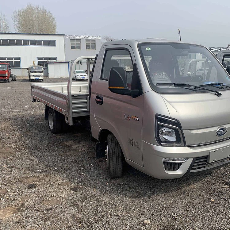 Petites grues montées sur camion